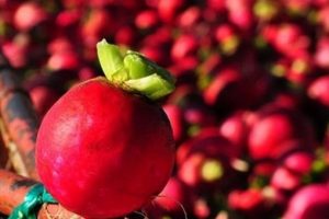 "Turpta daha &ccedil;ok C vitamini var"