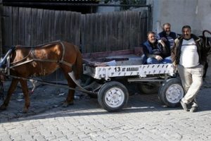 Tekirdağ'da at arabalarına plaka uygulaması