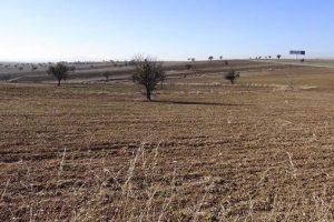 Uşak'ta 788 k&ouml;yl&uuml;ye dava a&ccedil;ıldı