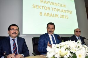 T&uuml;rkiye'nin b&uuml;y&uuml;k ve k&uuml;&ccedil;&uuml;kbaş hayvan sayısı a&ccedil;ıklandı