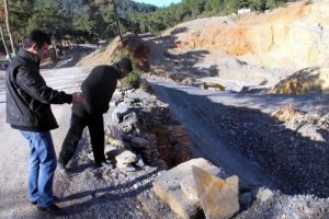 Taş ocağında bitki fosili bulundu