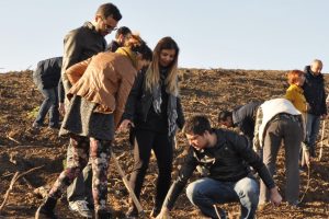 İnşaat m&uuml;hendisleri Bursa Mudanya'da yanan ormanlık alana ağa&ccedil; dikti