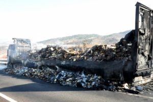 Uşak'ta 18 ton tavuk k&uuml;l oldu