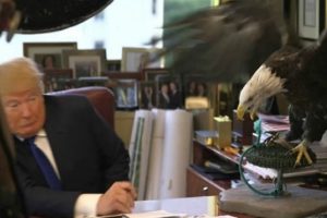 Donald Trump'ın Amerikan kartalıyla imtihanı