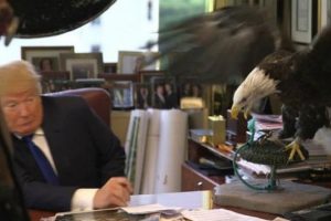 Trump'a kartal saldırısı