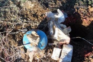 Ter&ouml;ristlere ait sığınak ve m&uuml;himmat bulundu