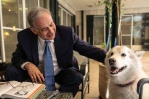 Netanyahu'nun k&ouml;peği krize neden oldu