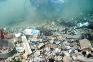 Marmara Denizi'nin kirliliği Bursa'yı olumsuz etkiliyor