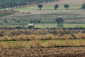 Sınırda 14 IŞİD'li yakalandı