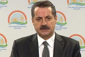 Bakan &ccedil;eltik fiyatlarını a&ccedil;ıkladı