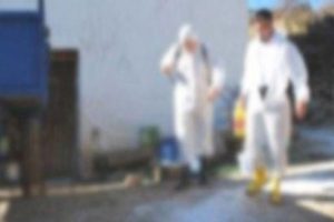 Bursa Karacabey'de hayvan yetiştiricilerine şap hastalığı uyarısı