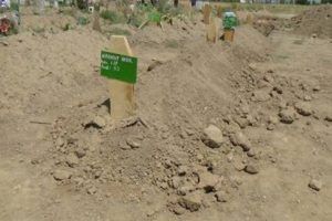 Mezar taşı 'yeşil' ama mezardan 'yeşil' &ccedil;ıkmadı