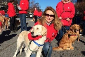 Terk edilen 223 k&ouml;peğe ABD'de yuva buldu!