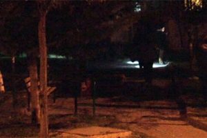 Başkent'te bir parkta molotof kokteylleri bulundu