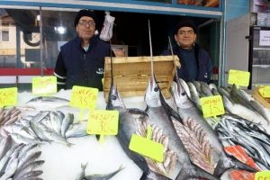 Bursa Mudanya'da kılı&ccedil; balığı bereketi