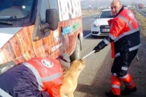 K&ouml;peğe &ouml;zensiz davranış, g&ouml;revlerinden etti