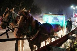 Faytonuyla ka&ccedil;maya &ccedil;alışan tacizci yakalandı!