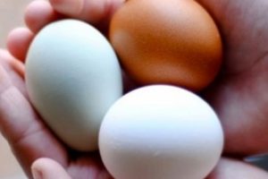 Yumurtada satış kurallarına uymayana 10 bin lira ceza