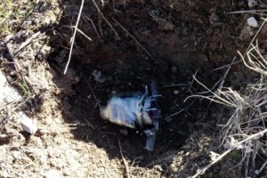 Şırnak'ta anaokulu bah&ccedil;esine bombalı tuzak