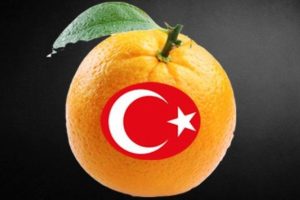 İtalya'da T&uuml;rk narenciyesi alarmı