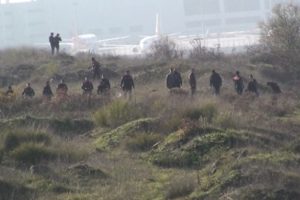 Patlamanın ardından ormanlık alanda inceleme
