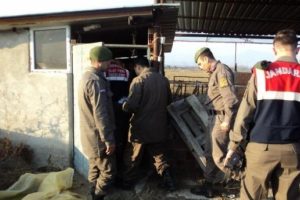 İzmir'de besicinin sır intiharı