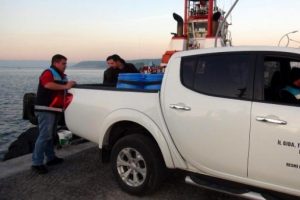 &Ccedil;anakkale'de ka&ccedil;ak toplanan deniz patlıcanı ele ge&ccedil;irildi
