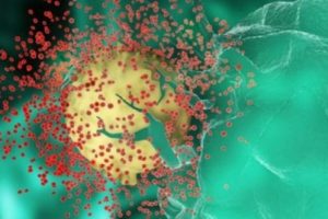 Bakanlıktan 'zika vir&uuml;s&uuml;' a&ccedil;ıklaması