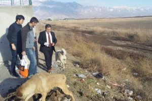 Yaban hayvanları i&ccedil;in doğaya yem bırakıldı