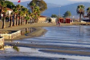 Akdeniz'deki depremler ve Akyaka'da deniz &ccedil;ekilmesi korkuttu