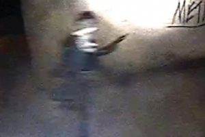 Polise ateş eden PKK'lı b&ouml;yle vuruldu