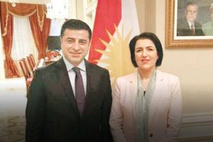 HDP'ye dost uyarısı: Meşruiyetinizi kullanın