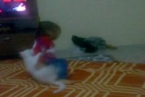 Diyarbakırlı miniğin kediyle g&uuml;reşi