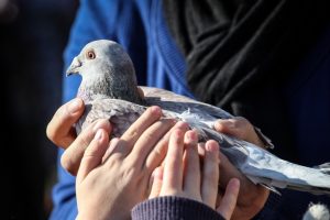 Bursalı minikler yeni yıl dilekleri i&ccedil;in g&uuml;vercin u&ccedil;urdu