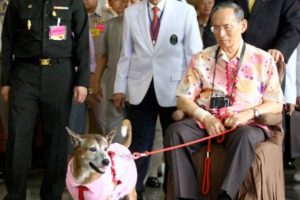 Tayland kralının meşhur k&ouml;peği &ouml;ld&uuml;