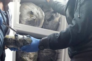 İstanbul'da beyaz eşyaların i&ccedil;inden uyuşturucu &ccedil;ıktı