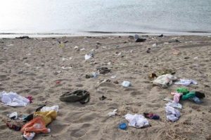 İzmir'de ka&ccedil;aklar gitti, sazlık ateşe verildi