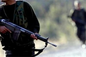 Şemdinli'de 1 PKK'lı yakalandı