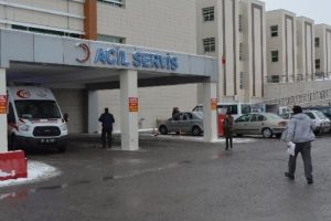 Niğde'de ikinci domuz gribi ş&uuml;phesi