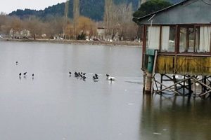 G&ouml;lc&uuml;k g&ouml;l&uuml; buz tuttu