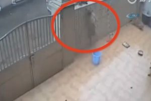 Saldırgan k&ouml;pekleri b&ouml;yle &ccedil;aldılar