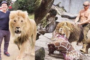 Gani M&uuml;jde Putin'in aslanıyla  poz verdi