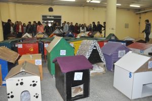 Bursa'da &uuml;niversite &ouml;ğrencilerinden minik dostlara sıcak yuva