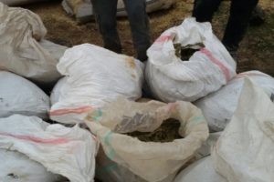 Şanlıurfa'da uyuşturucu operasyonu