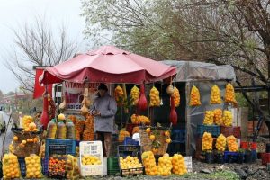 Soğuk hava, meyve sebze fiyatlarını artırdı
