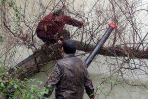 Antalya Manavgat Şelalesi'nde can pazarı