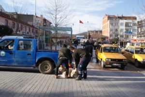 Sokak hayvanlarının toplanmasına tepki g&ouml;sterirken bayıldı