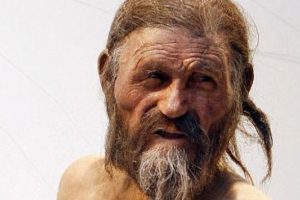 'Buzadam &Ouml;tzi'de &uuml;lsere neden olan mide bakterisi bulundu