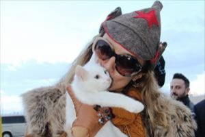 Tuğba &Ouml;zay Van Kedisi'ni &ccedil;ok sevdi