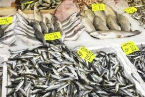 Havalar ısındı balık fiyatları d&uuml;şt&uuml;